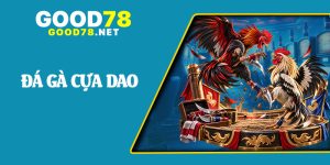 Đá Gà Cựa Dao